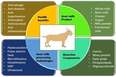 Frontiers | Recent Insights Into Processing Approaches And Potential ...